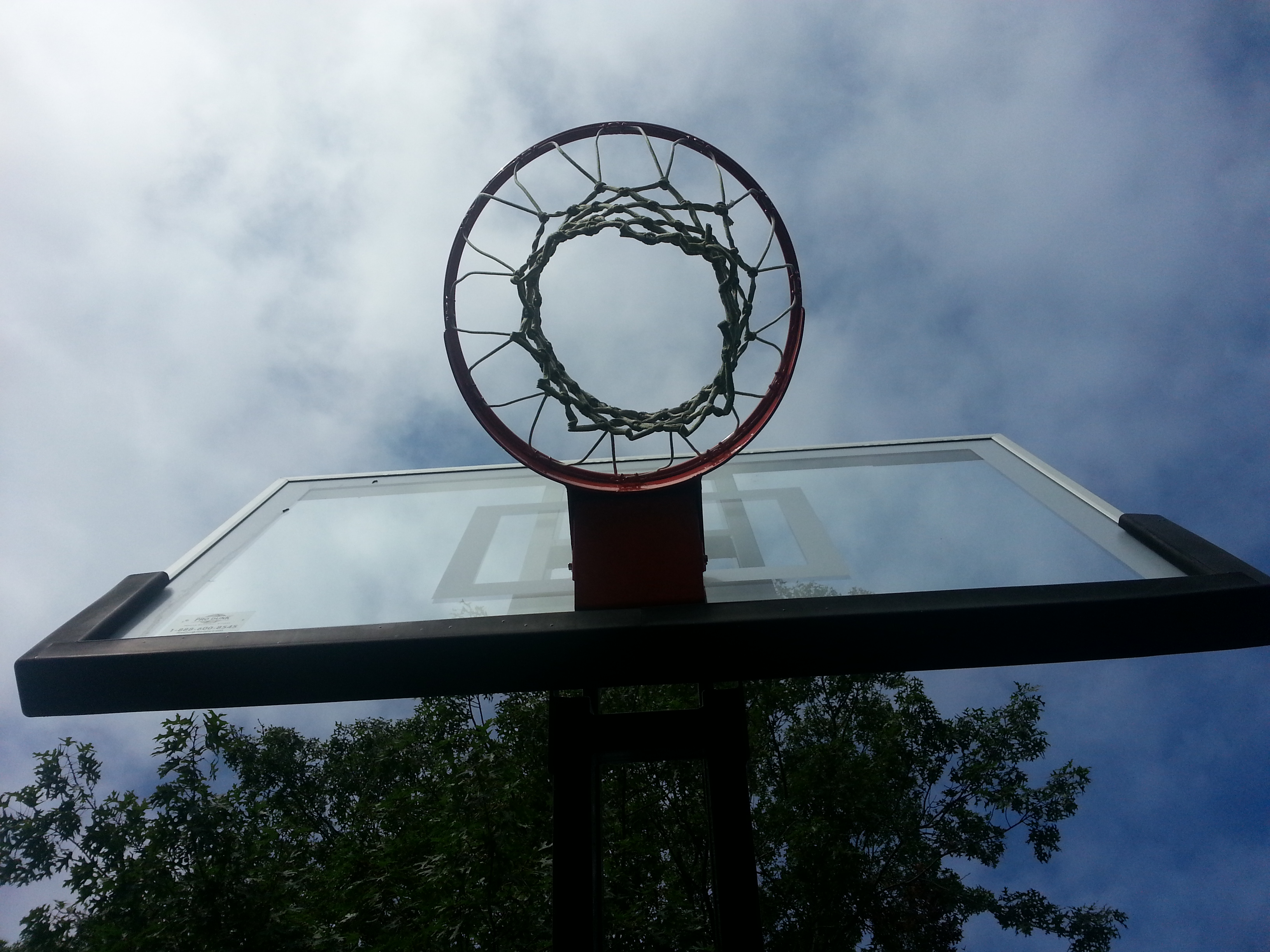Pro Dunk Gold Basketball System in Woodbury, New York subdivision.
