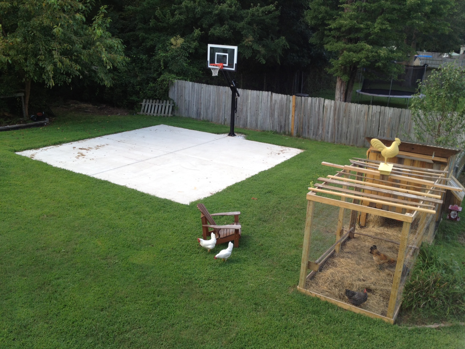 1000  ideas about Backyard Basketball Court on Pinterest  Basketball Court, Outdoor 