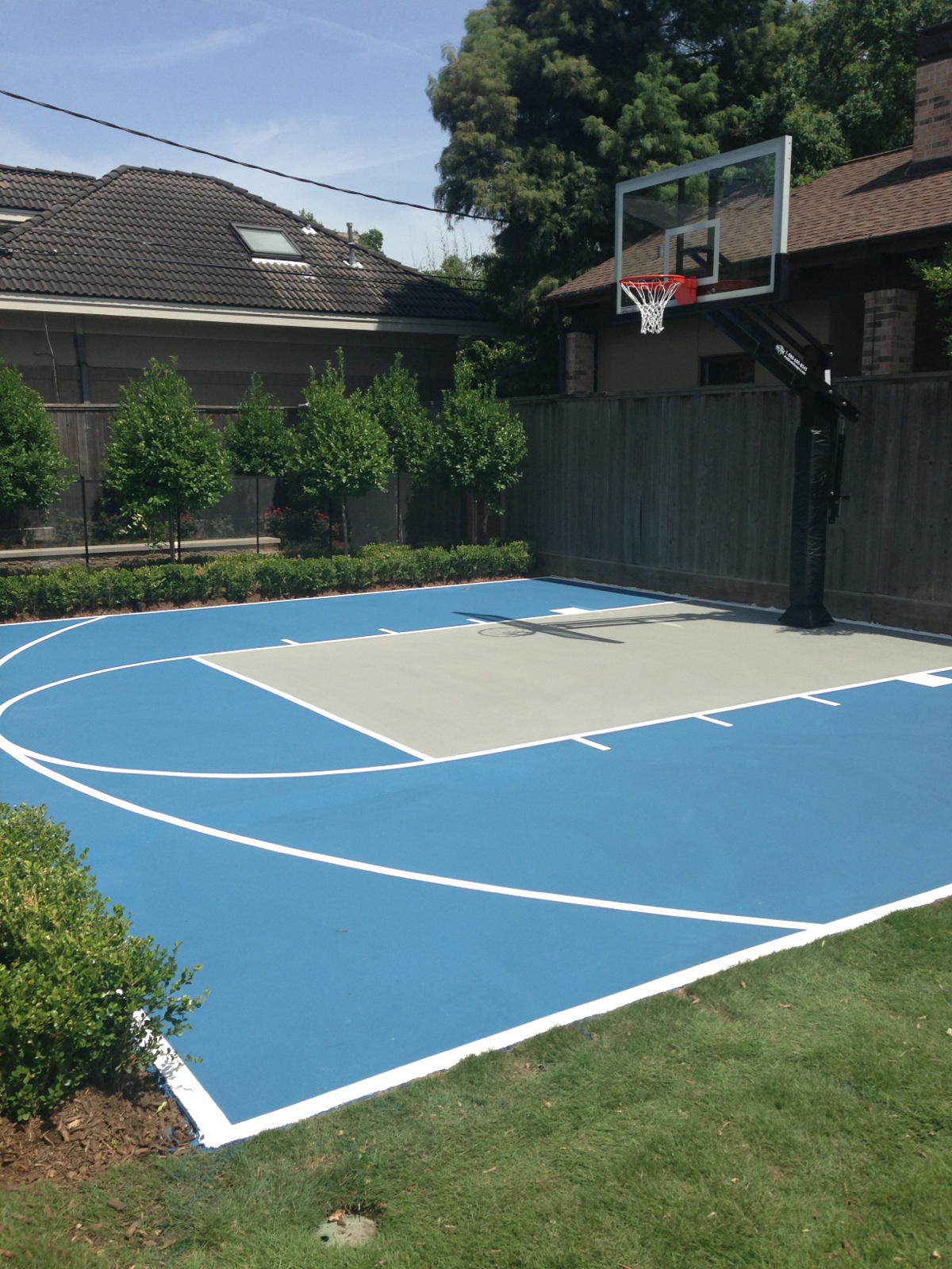 This Pro Dunk Platinum Basketball Goal, Paint Outdoor Basketball Court